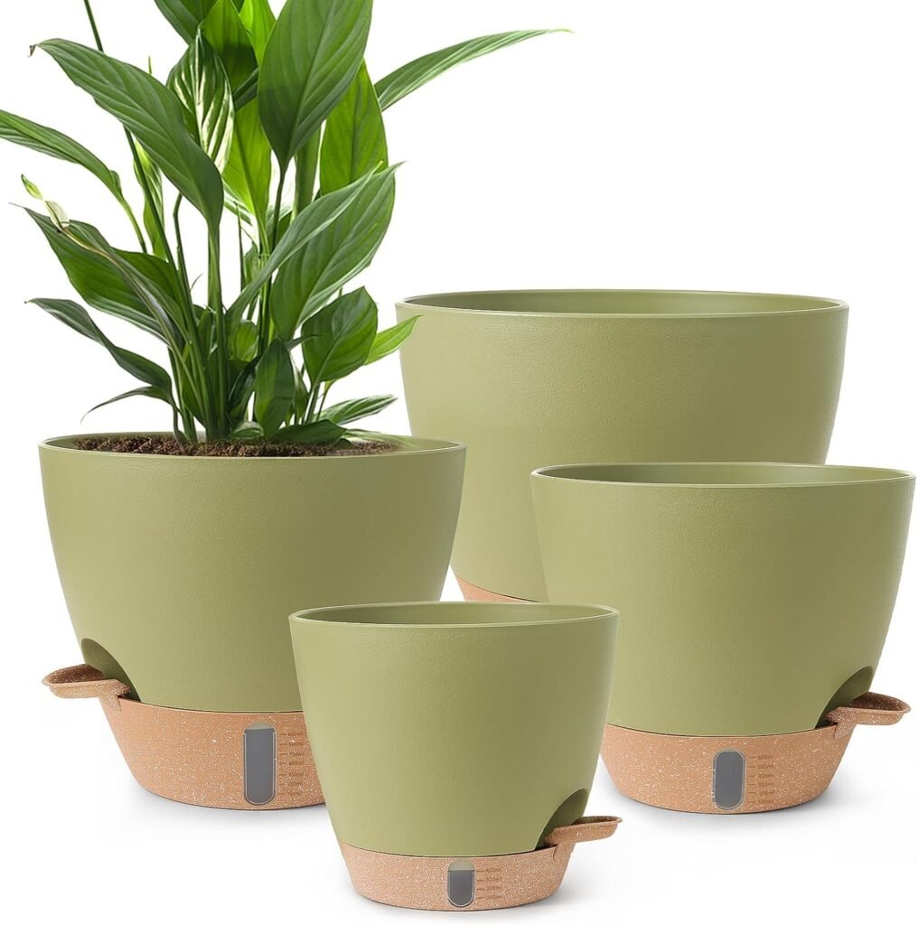 Self-Watering Plants