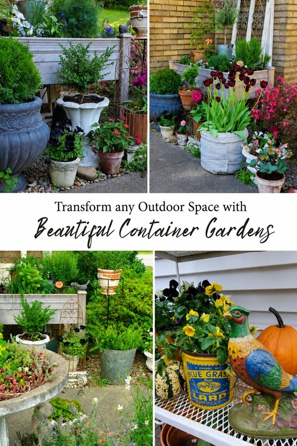 Low-Maintenance Garden Ideas for Seniors container plants ideas