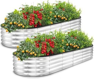 raised garden bed for seniors