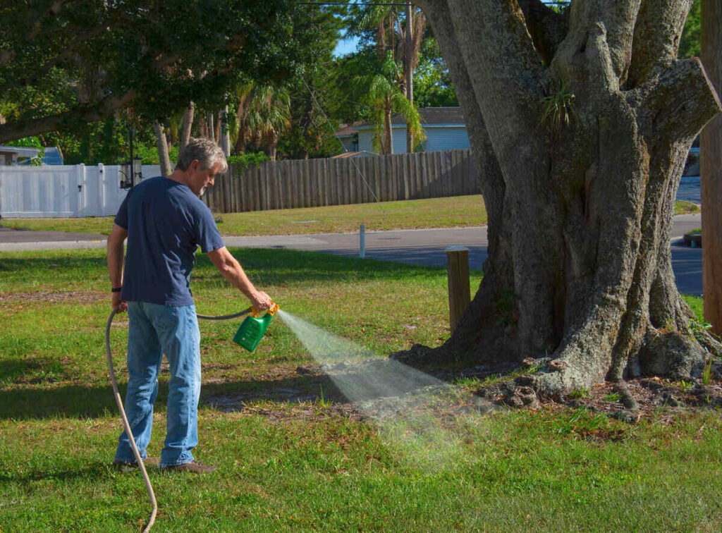 Best Lawn Fertilizers for Seniors